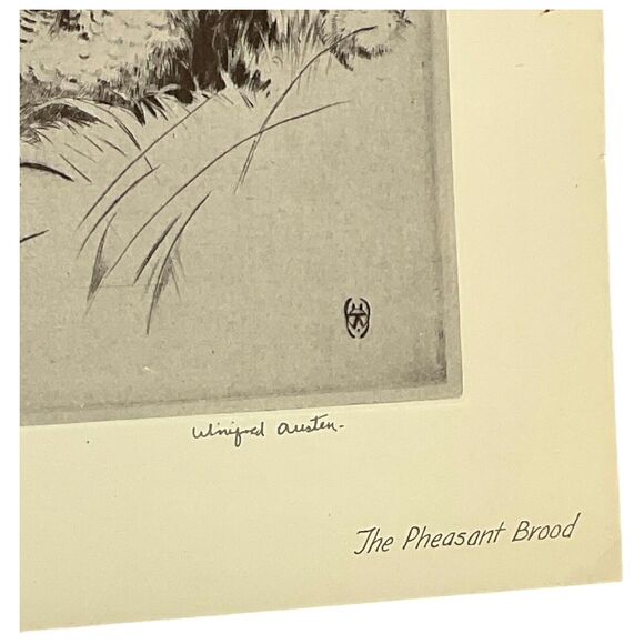 Winifred Austen The Pheasant Brood Signed Etching Reproduction Nature Magazine - Picture 2 of 4